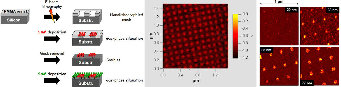 CAFM chemically nanopatterned surface