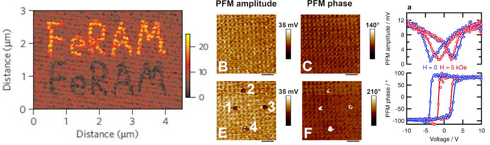 PFM on nanopatterned PVDF-TrFE
